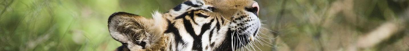 Bardia National Park Tours & Trips
