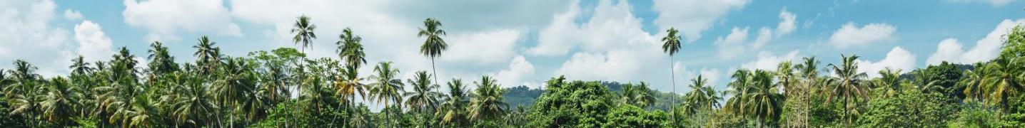 Eastern Province Sri Lanka Tours & Trips