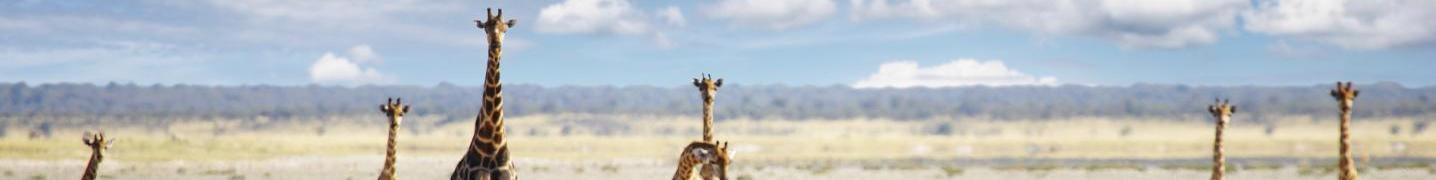 The Great African Rift Valley Tours & Trips 2018/2019