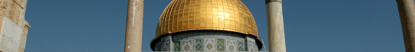 All Consolidated Tour Operators Tours