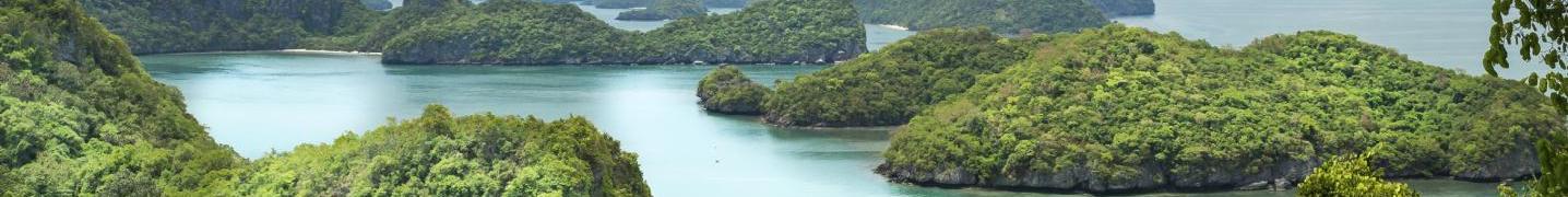 All La Galigo Liveaboard Tours