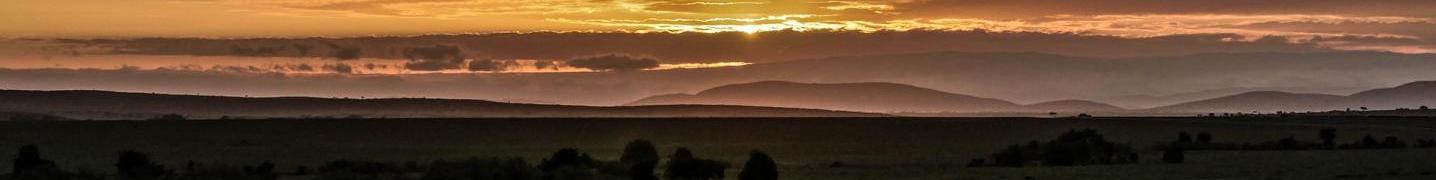 Tour Operators & Travel Companies in Serengeti National Park