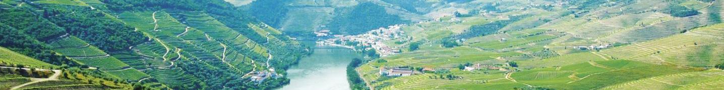 Douro River Cruises 2018/2019