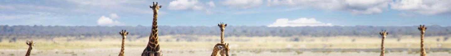 Etosha National Park Safari