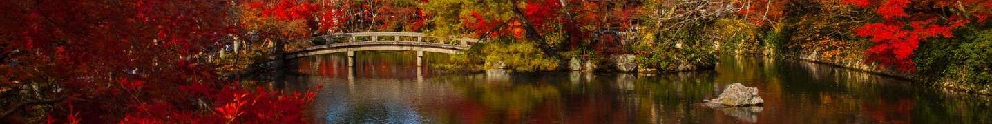 All Samurai Tours