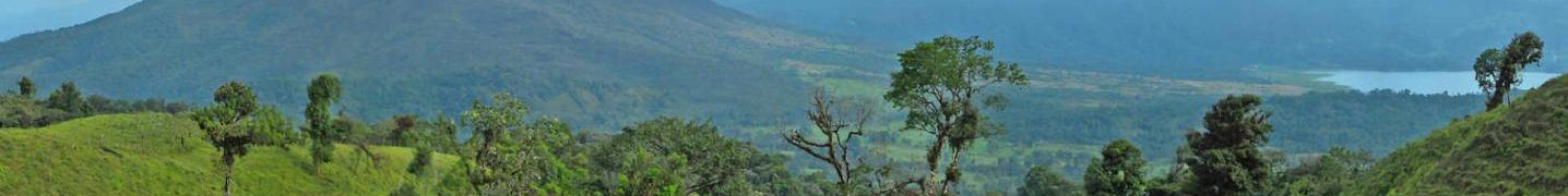 Destination Services Costa Rica Deals and Discounts 2019/2020