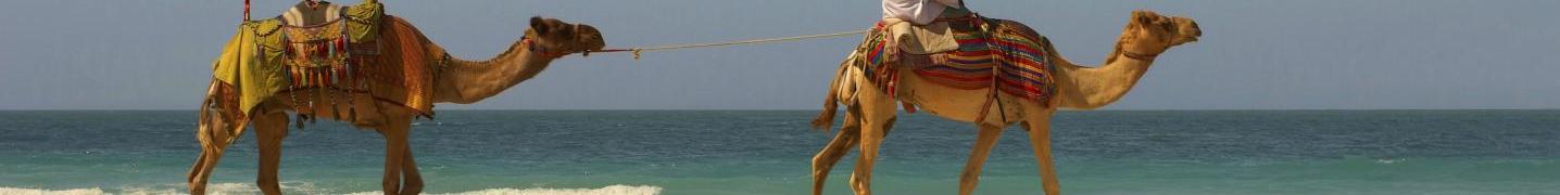 All Destination Services Morocco Tours