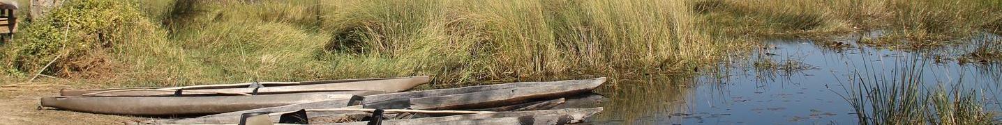 Tour Operators & Travel Companies in Okavango