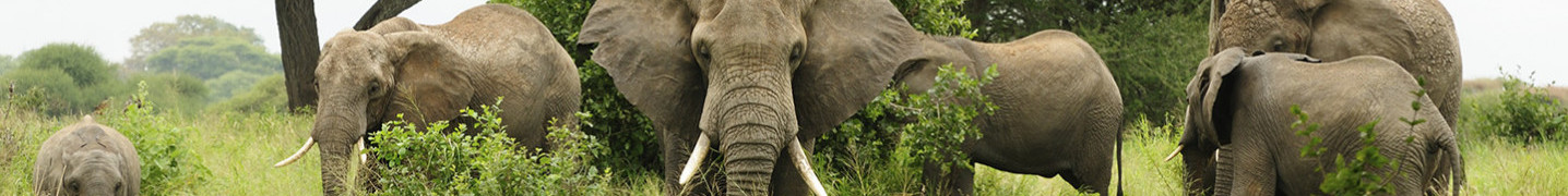 Mozambique Tours and Trips 2018/2019
