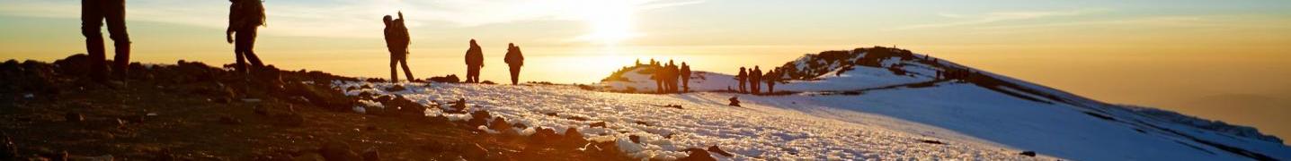 All Wild Root Safaris & Adventures Tours
