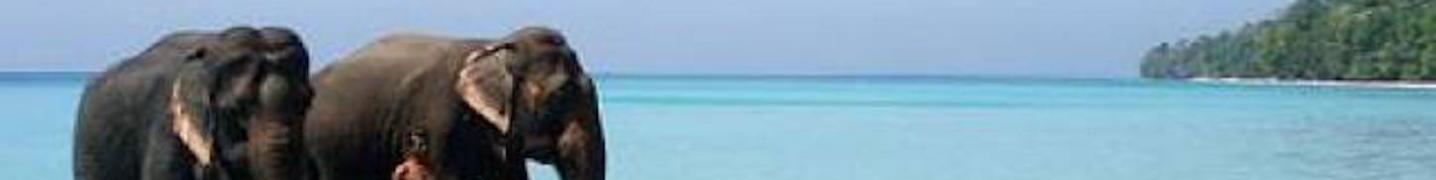 All IHCT Heritage & Adventure Tours