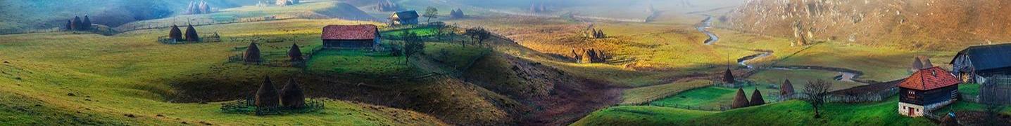 All Rolandia Tours