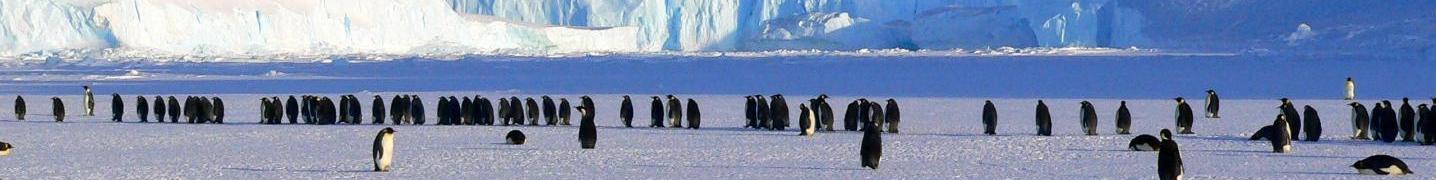 Antarctica Deals and Discounts 2019/2020