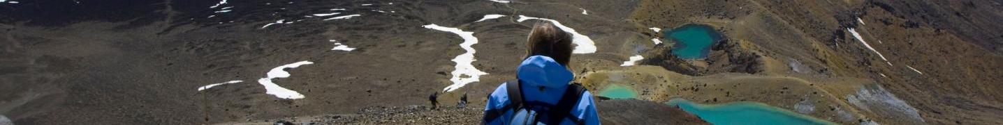 All Flying Kiwi Tours