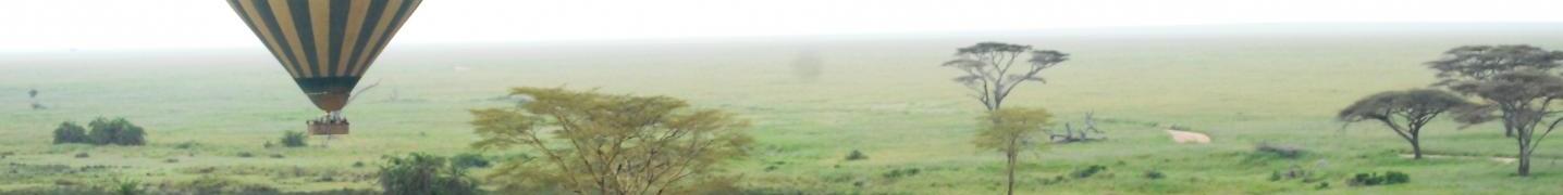 Tanzania in August 2020 Tours & Trips
