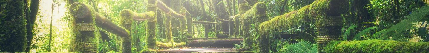 Best Centre Based Walking Holidays in the World