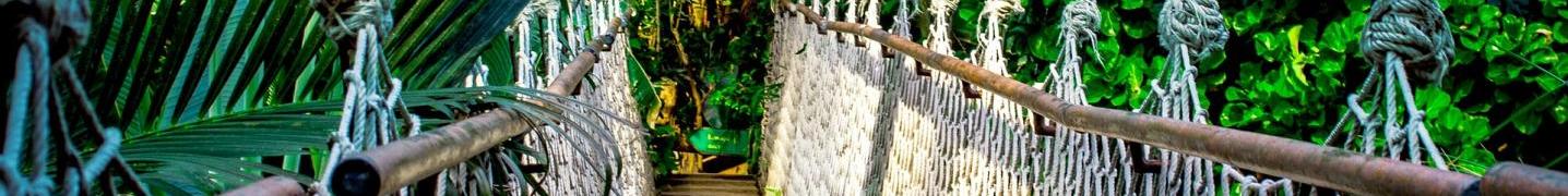 Jungle Trekkings Tours & Trips