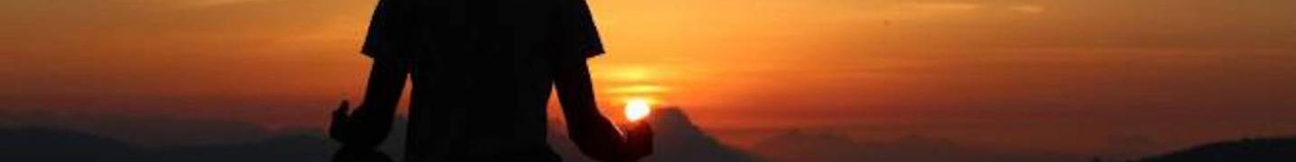 All Payless tours india