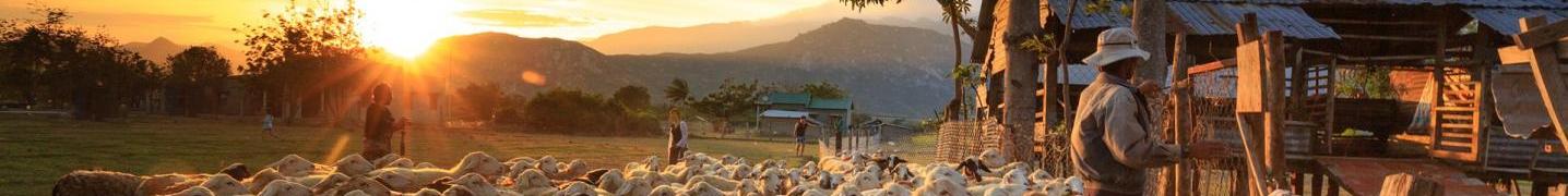 Family Tours/Trips in Vietnam