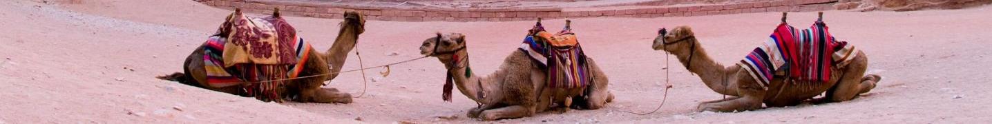 Jordan Private Tours and Travel Deals and Discounts 2019/2020