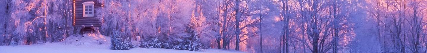 All Nordic Unique Travels Tours