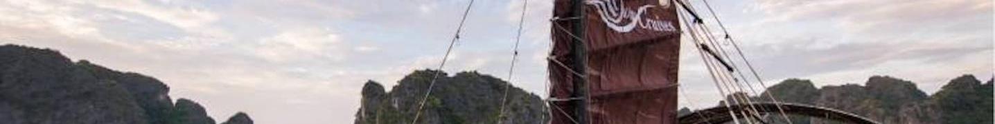 All Swan Cruises Halong Tours
