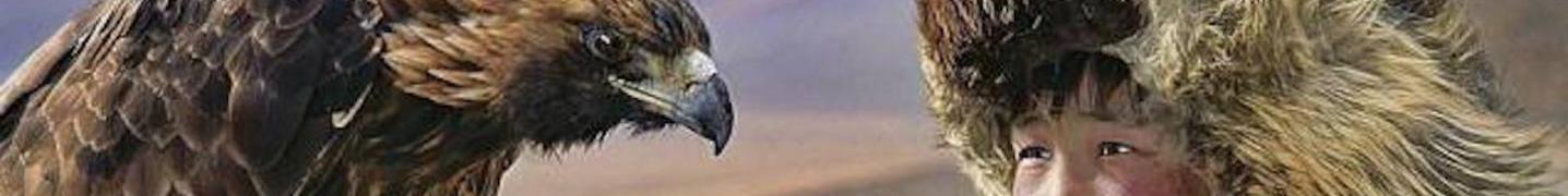 All Nomadic of Blue Sky Tours