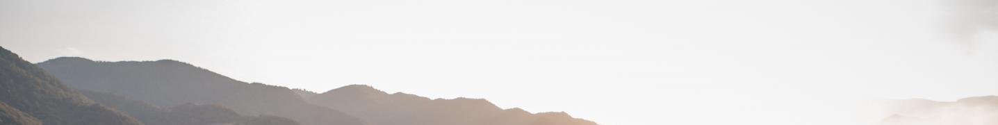All Apricot Voyage Tours