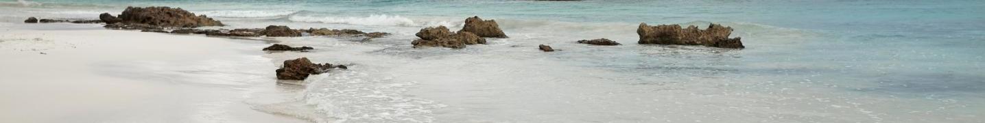 All Smart Tourism Mexico Tours