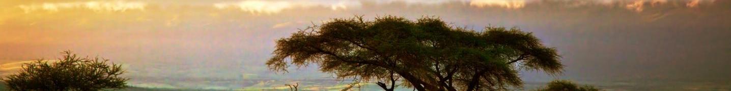 All Prime Safaris Tours