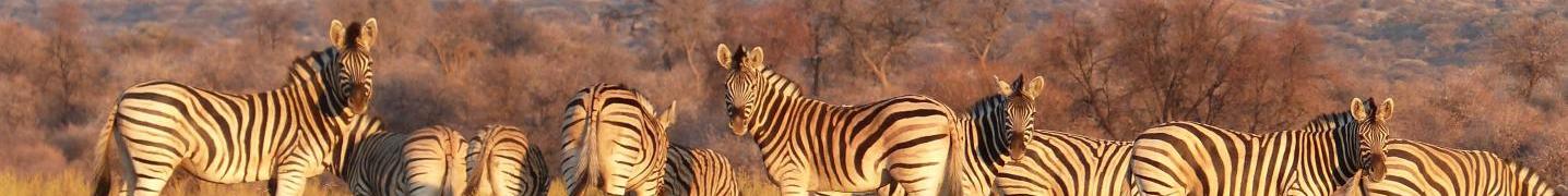 All Kilimanjaro Wonders Expedition Safari Tours