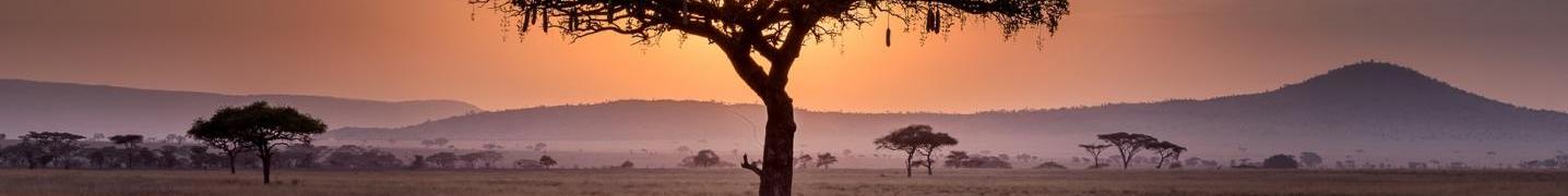 Coworking Safari Deals and Discounts 2019