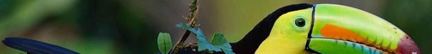 All Destiny Travel Costa Rica Tours
