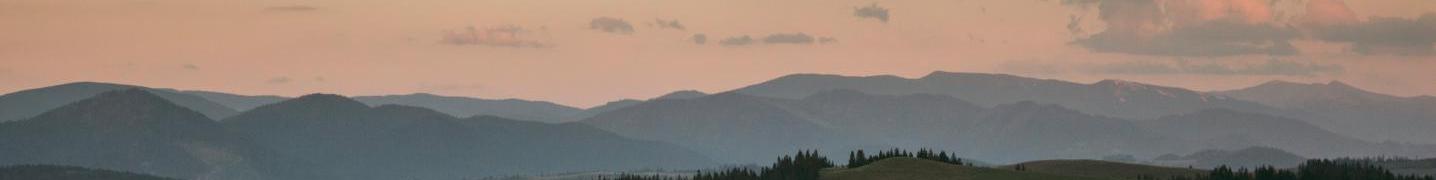 All Allure Holidays Tours