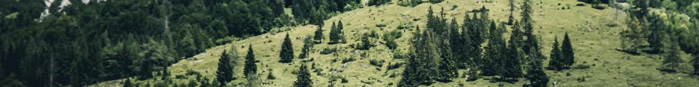 All Choose Balkans Tours