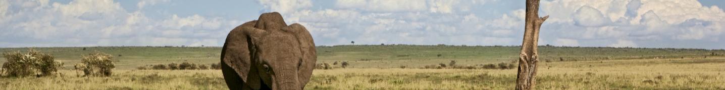 All Silver Sky Travel Tours