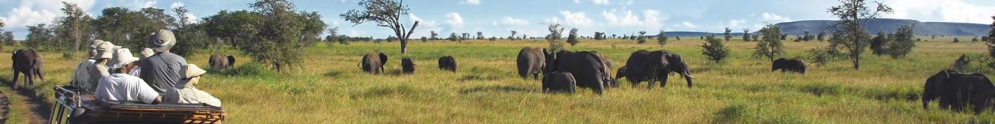 All African Expedia Tours