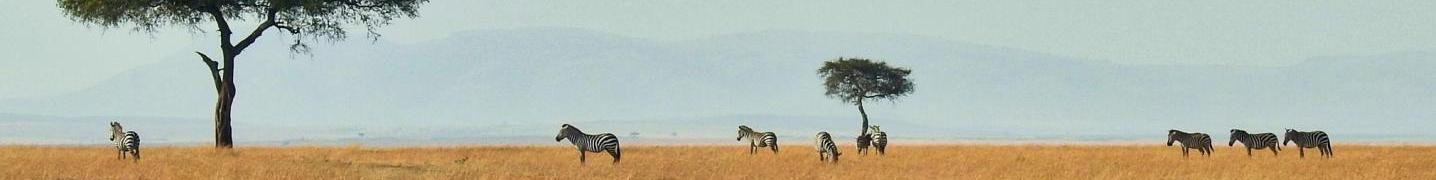 All Explore South Africa Tours