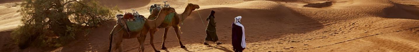All Morocco Sahara Desert Travel Tours