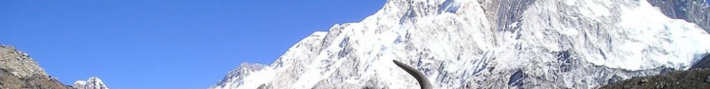 All Himalayan Adventure Nepal Tours