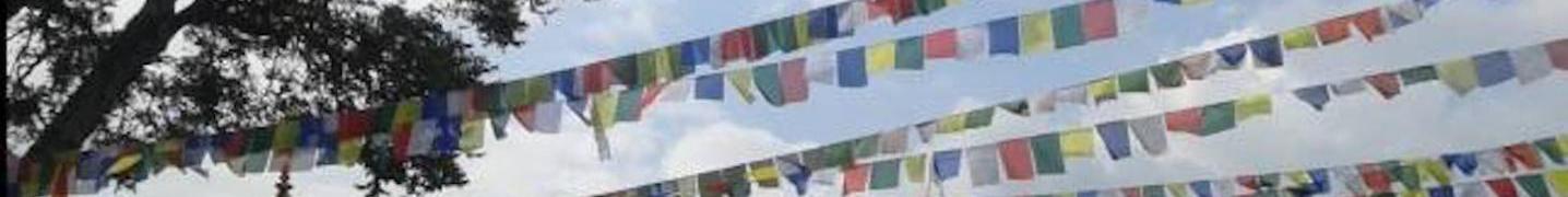 All The Nepal Trekking Company Tours