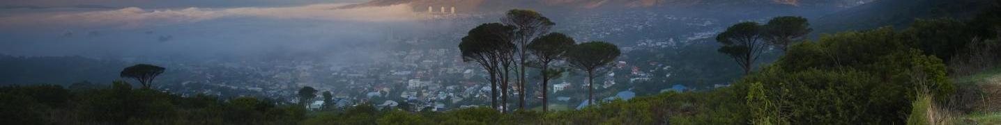 All Travel South Tours