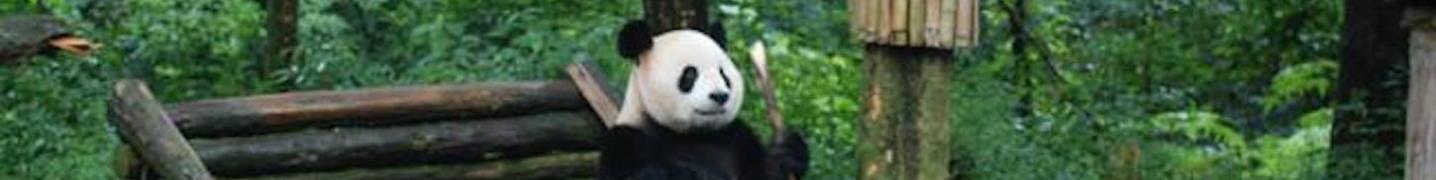 All China Exploration Tours