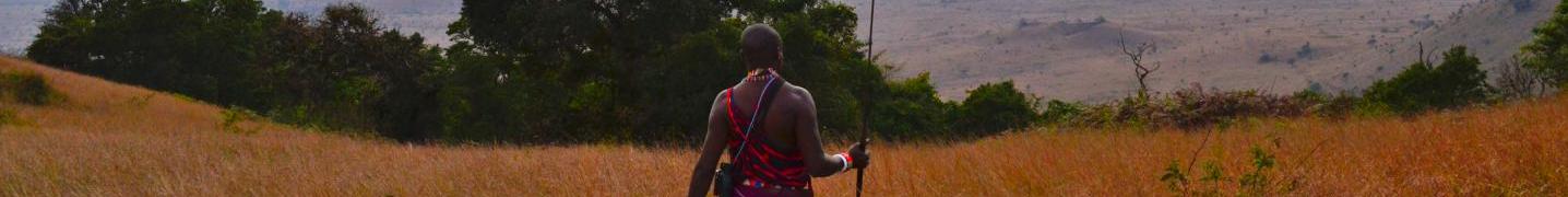 All Exciting Africa Holidays Tours