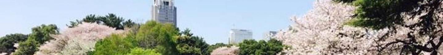 All HanaTour Japan Tours