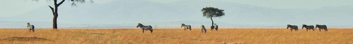 All Bonvoyage Kenya Safaris Tours
