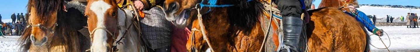 All TTRMongolia Tours