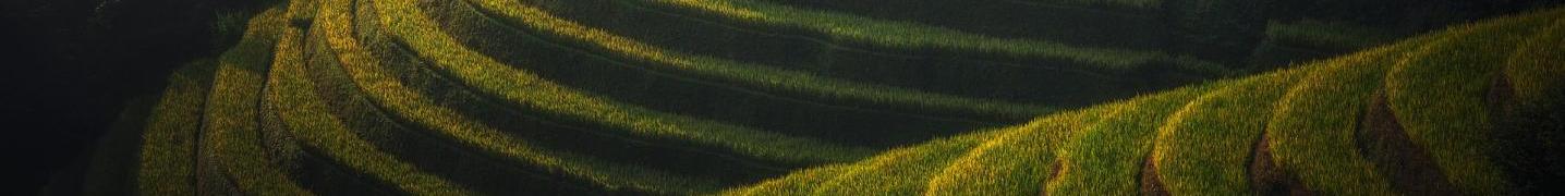 All Vietnam Luxury Vacation Package Travel Tours