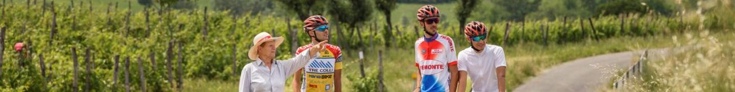 All Bike 'n Wine Tours
