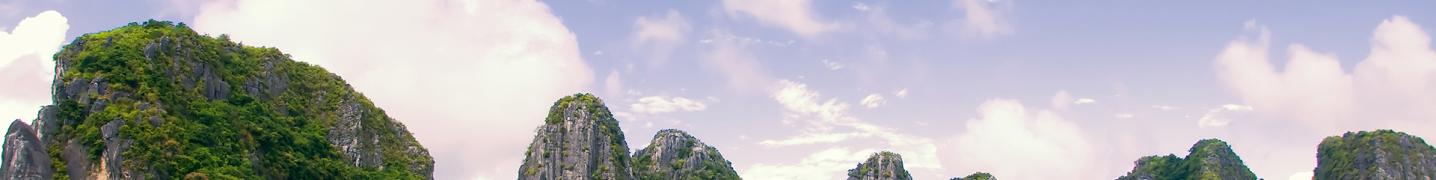 Halong City Tours and Trips 2019